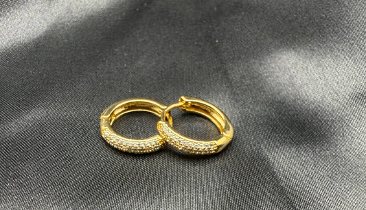 Hoop Earrings